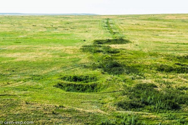 Кракен сегодня сайт зеркало