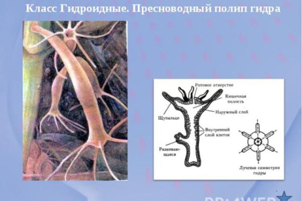 Где найти ссылку на кракен