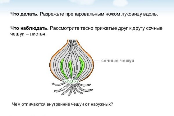 Сайт кракен тор